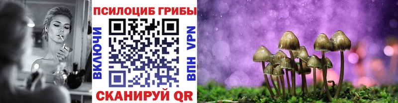 Псилоцибиновые грибы мухоморы Волгоград